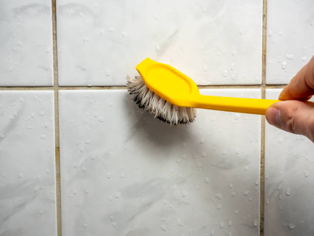 Best Mold Remediation for Schools in Passaic, NJ
