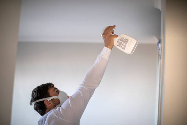 Best Kitchen Mold Remediation in Passaic, NJ