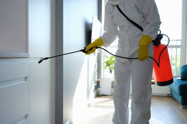 Best Emergency Mold Remediation in Passaic, NJ