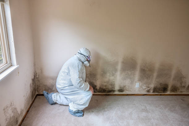 Passaic, NJ Mold Remediation Company