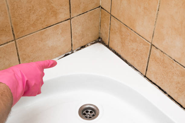 Best HVAC Mold Remediation in Passaic, NJ